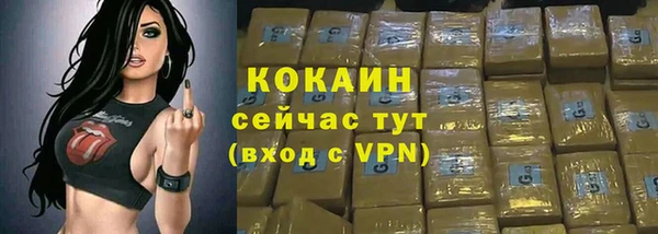 мдпв Горняк