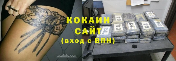 индика Горно-Алтайск