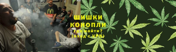 ALPHA PVP Горнозаводск
