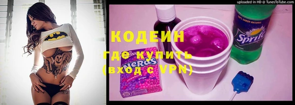 индика Горно-Алтайск