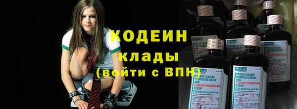 индика Горно-Алтайск