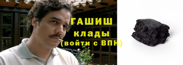 индика Горно-Алтайск
