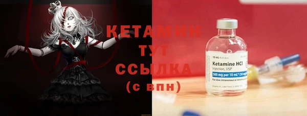 индика Горно-Алтайск