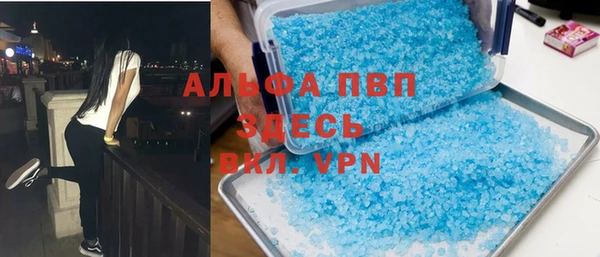 индика Горно-Алтайск