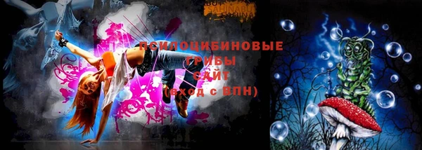 индика Горно-Алтайск