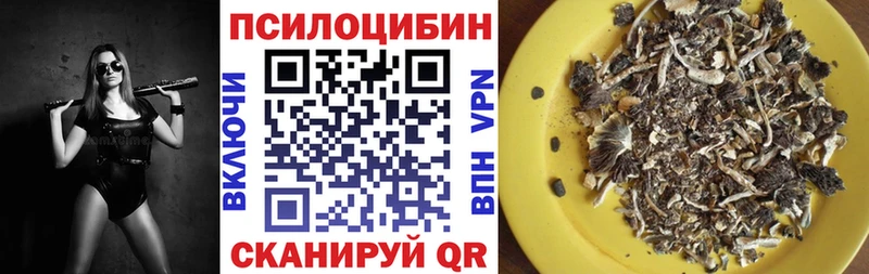 Псилоцибиновые грибы мицелий  Купить  Полярные Зори 