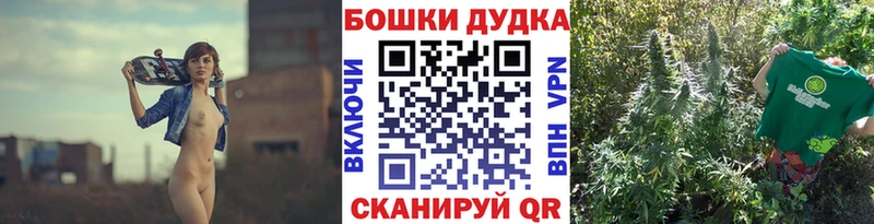 Конопля AK-47  Купить где  Полярные Зори 
